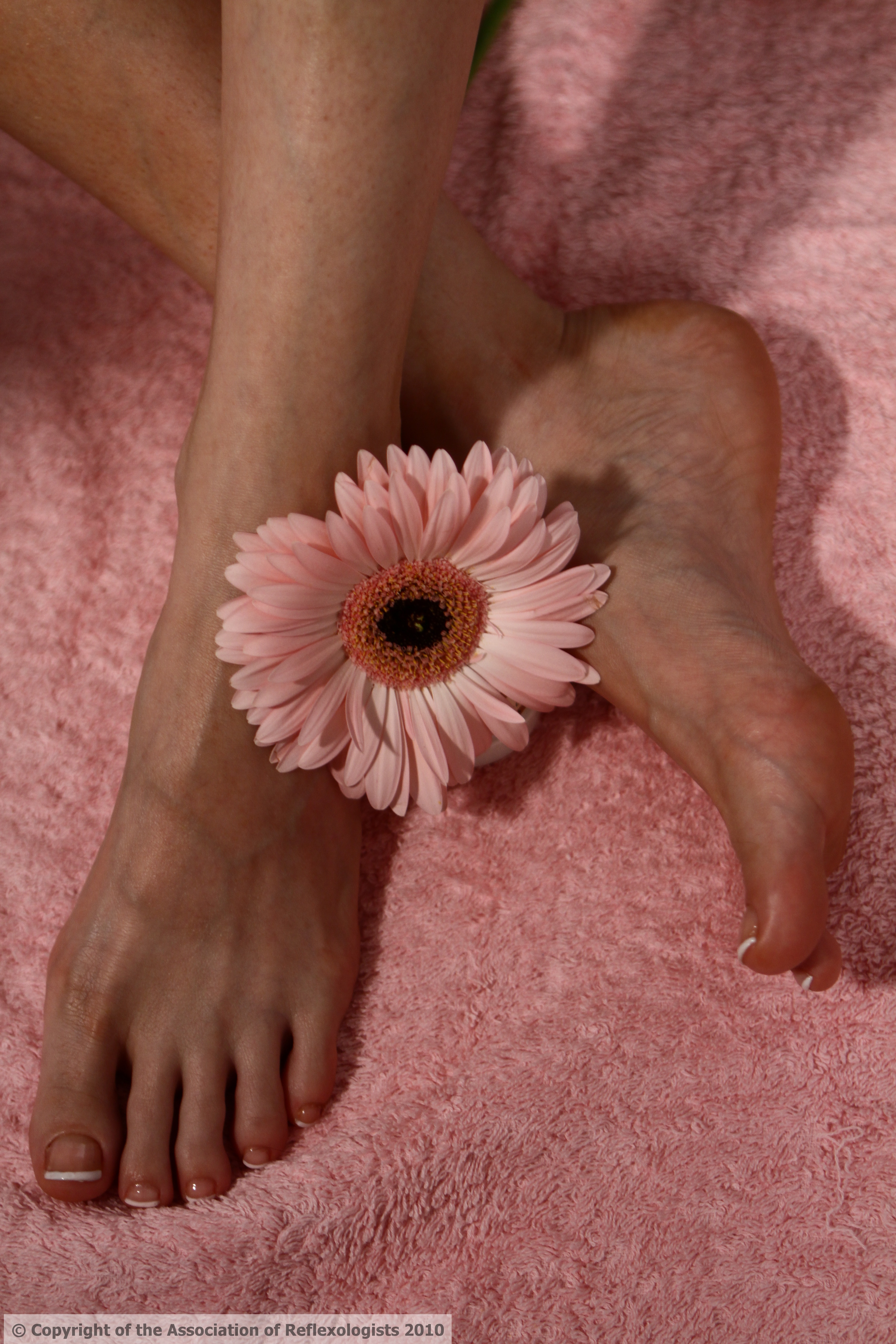 images/slider/Adult_reflexology_image_2.jpg