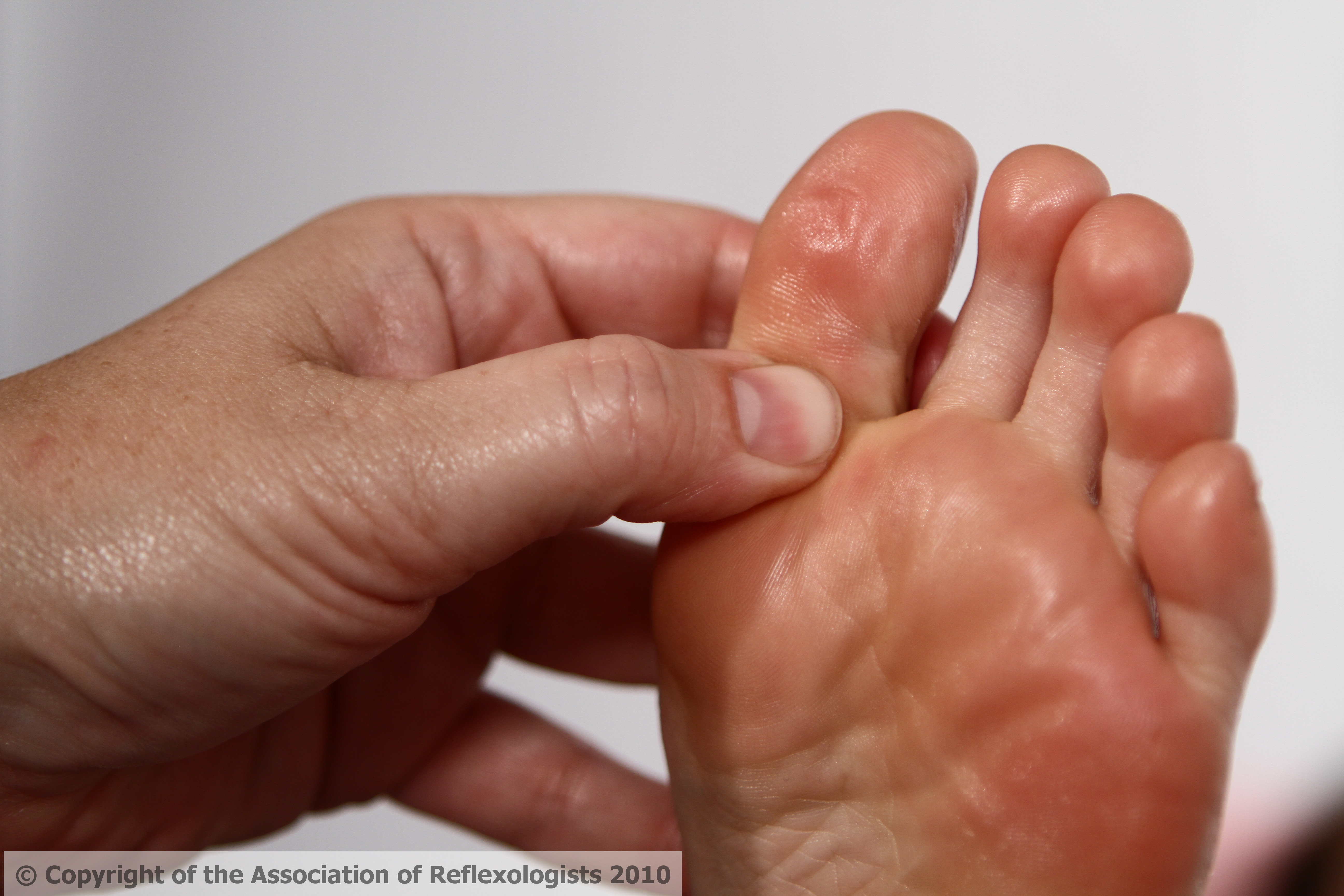 images/slider/Adult_reflexology_image_4.jpg